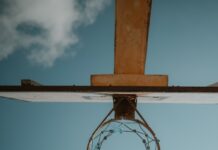 스트레스를 줄이는 명상과 요가의 과학적 효능 A person holding a basketball up to a hoop