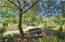 서울시, 하천변 23개소에 입체적 생태 네트워크 들어선다