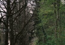 직장인 건강, 책상 앞에서 지키는 작은 습관이 큰 차이를 만든다 a couple of people walking down a dirt road