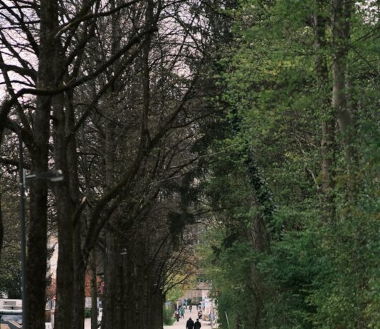 직장인 건강, 책상 앞에서 지키는 작은 습관이 큰 차이를 만든다 a couple of people walking down a dirt road