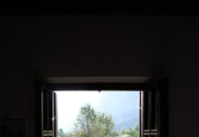 “스마트하게 챙기는 직장인 건강, 작은 실천이 만든다” A window frames a lush green landscape.