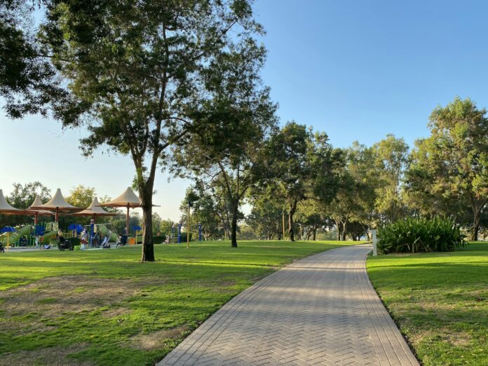 Photo by Alex King green grass field with trees during daytime